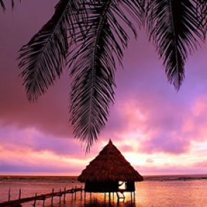 Tramonto Tropicale Sul Mare