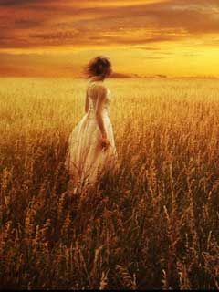 Tramonto Dorato - wallpaper preview