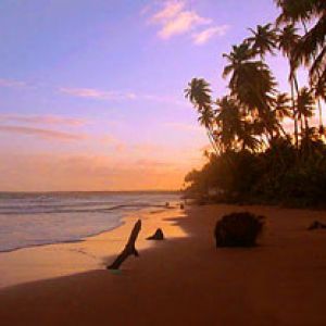 Tramonto su Spiaggia Tropicale