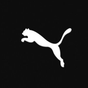 Design Minimalista del Logo Puma