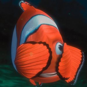 Pesce Pagliaccio Colorato Sott'acqua