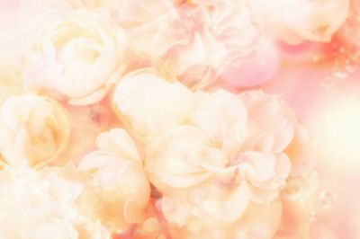 Sfondo Floreale Rosa Morbido - wallpaper preview