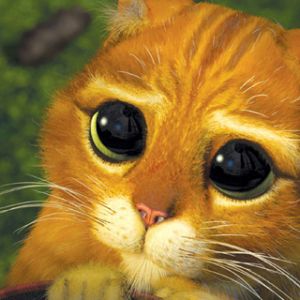 Gatto Animato Carino