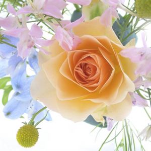 Bellissimo Composizione Floreale