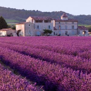 Campi di Lavanda e Casa Rustica
