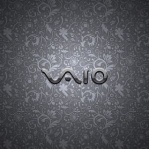 Logo VAIO su sfondo floreale
