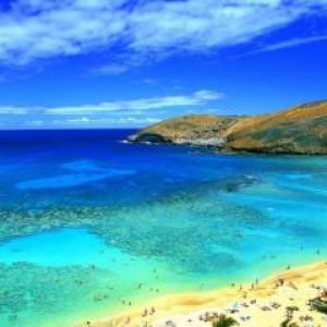 Paradiso della Spiaggia Tropicale