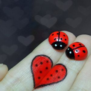 Cuore di Coccinella