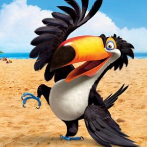 Tucano Animato sulla Spiaggia