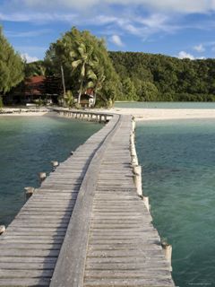 Molo Tropicale - wallpaper preview