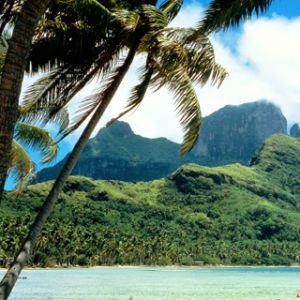 Paradiso Tropicale
