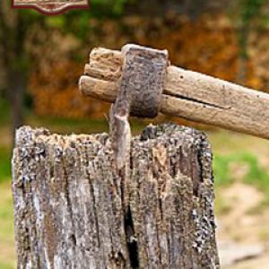 Palo di Recinzione Rustico