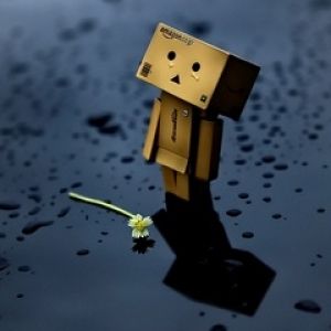 Carinissima figura Danbo con fiore