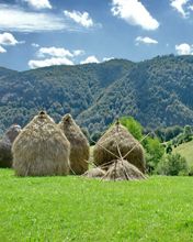 Paesaggio montano pittoresco - wallpaper preview