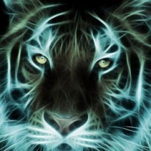 Ritratto di tigre luminoso