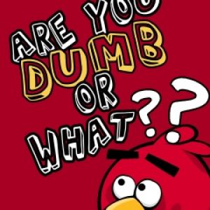 Citazione Divertente Angry Birds