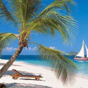 Paradiso Tropicale