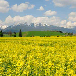 Bellissimo paesaggio montano