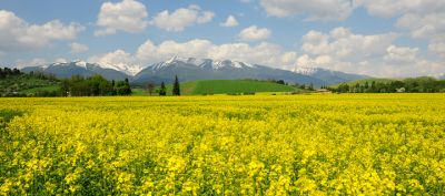 Bellissimo paesaggio montano - wallpaper preview