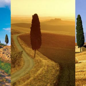 Paesaggio Toscano