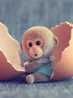 Adorabile Baby Monkey - wallpaper preview