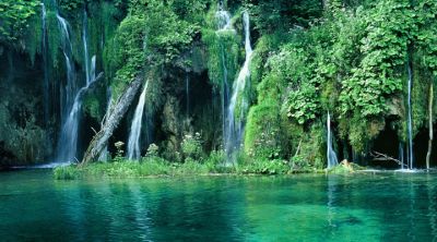 Cascate Sereni e Verde Lussureggiante