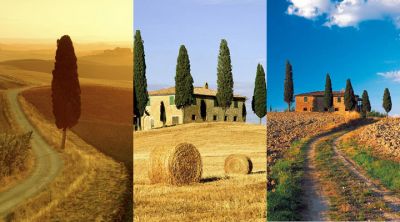 Paesaggio Toscano