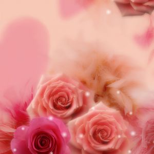Sfondo di Rose Romantiche