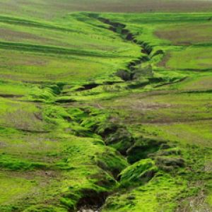 Paesaggio Verde