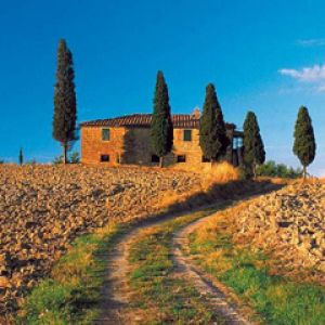 Paesaggio Toscano Scenico