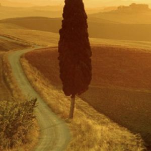 Paesaggio al Tramonto Dorato