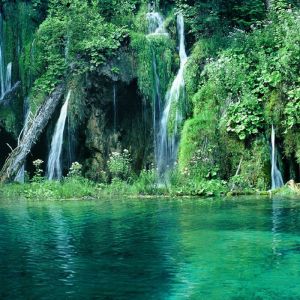 Cascate Sereni e Verdeggiante
