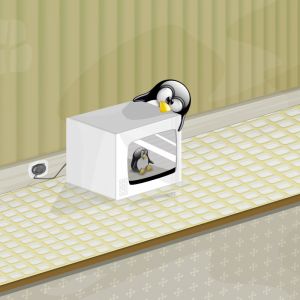 Pinguino nel Microonde