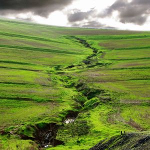 Paesaggio Verde