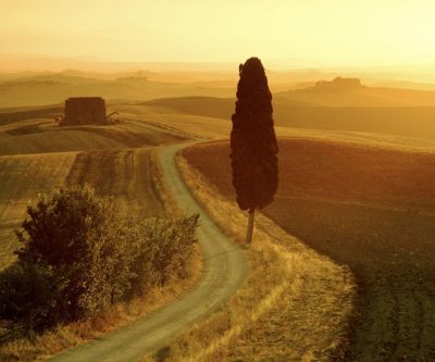 Paesaggio Sereno al Tramonto