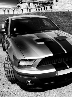 Auto Muscolare Classico