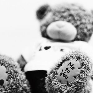 Orsetto Carino Amore