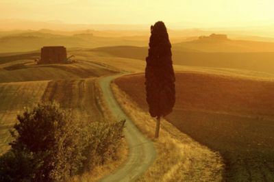 Paesaggio al Tramonto Dorato