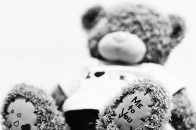 Orsetto Carino Amore - wallpaper preview