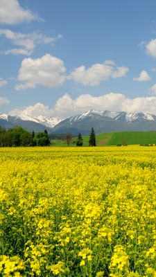 Bellissimo paesaggio montano - wallpaper preview
