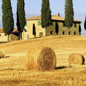 Paesaggio Toscano