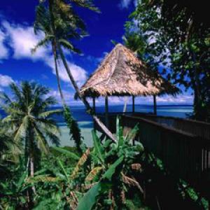 Paradiso Tropicale con Palme