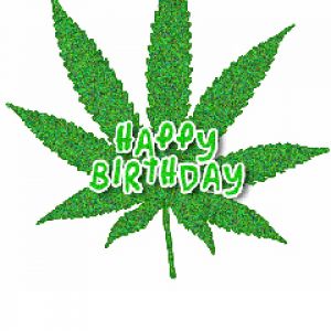 Design Foglia Buon Compleanno