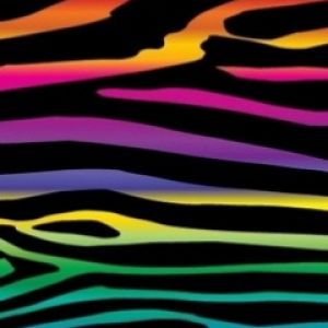 Pattern di Strisce Zebra Colorate