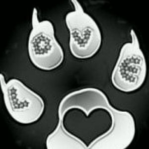 Impronta d'Amore