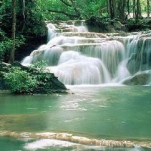 Cascata Serene in una Foresta Lussureggiante
