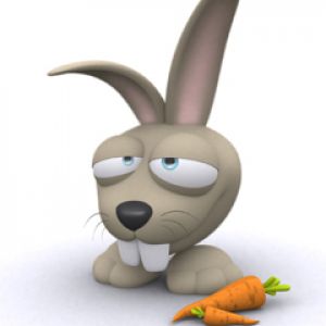 Coniglio Cartone Animato Carino