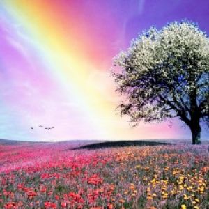 Arcobaleno Colorato su Campo di Fiori