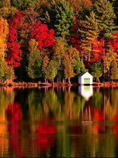 Riflesso Autunnale sul Lago