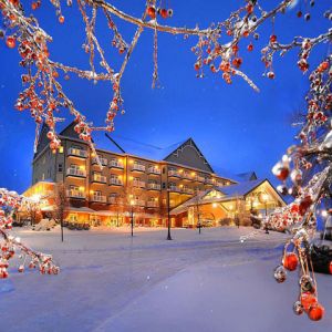 Hotel Fiaba Invernale
